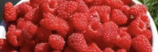 NutriWellBeing Banner